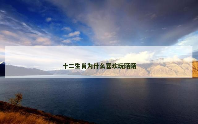 十二生肖为什么喜欢玩陌陌