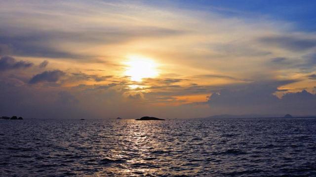 不懂学习 在职场经常会遭到淘汰的生肖 不懂学习 在职场经常会遭到淘汰的生肖