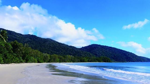 八字月令阳刃女命详解