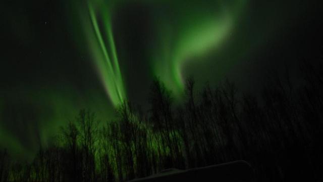 八字命理教程mp4