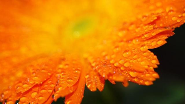 不喜欢买饮料 只喜欢喝矿泉水的生肖 不喜欢买饮料 只喜欢喝矿泉水的生肖