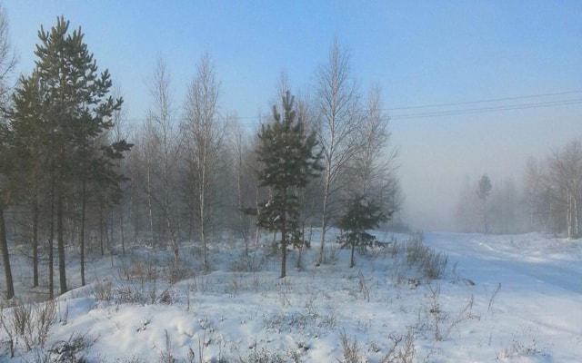 太闹腾 不折腾到累绝不会休息的生肖