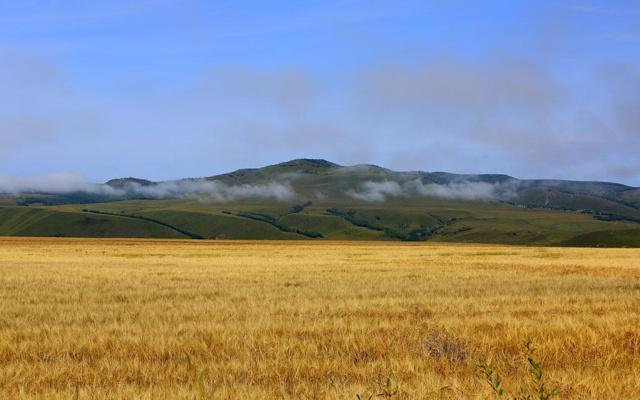 风水暴利项目好做吗 风水暴利项目好做吗