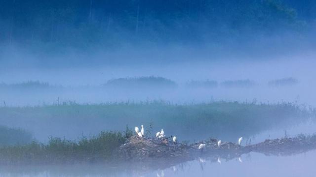 有成功机遇的生肖女 事业成就不比男人差