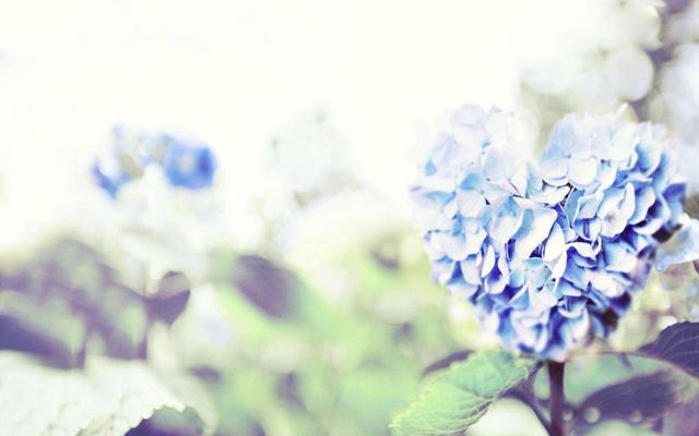 大运平顺女命八字 大运平顺女命八字