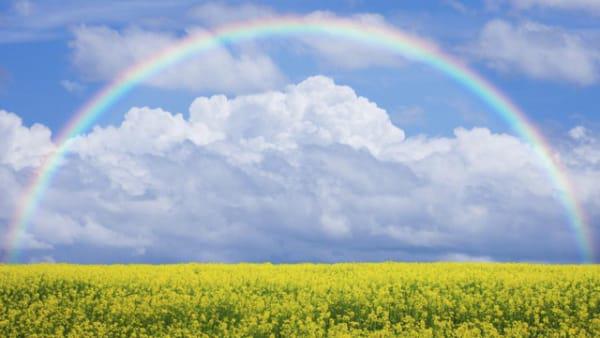 数字风水能量学书籍有吗 数字风水能量学书籍有吗