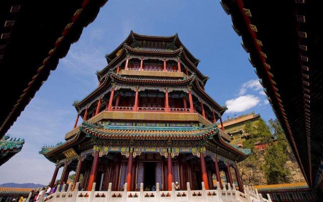 蛇为什么怕羊 羊和蛇合适吗？