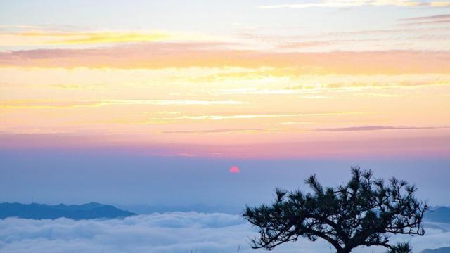 太浪费 吃不完还要点很多的生肖