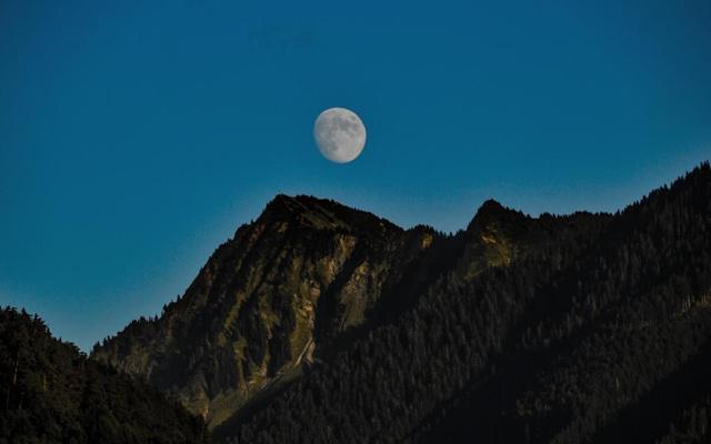 五路山水任环绕是什么生肖