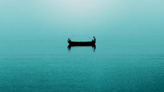 虎皮兰真能调节风水吗 虎皮兰真能调节风水吗