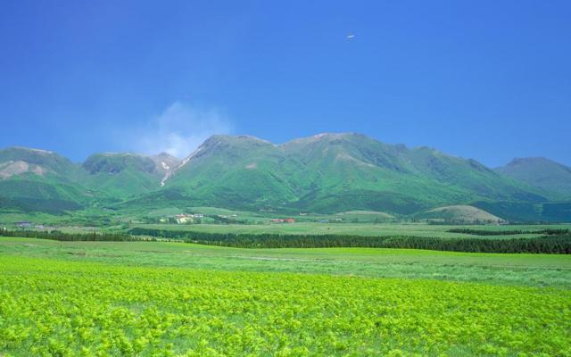 淘宝风水挂件有效果吗 淘宝风水挂件有效果吗