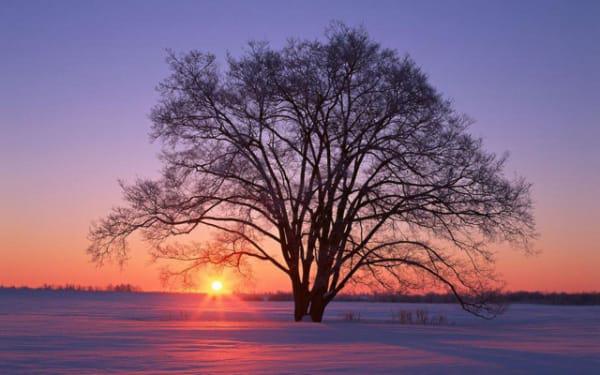 男命八字中有丁壬合