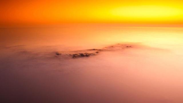 辛丑年属什么命