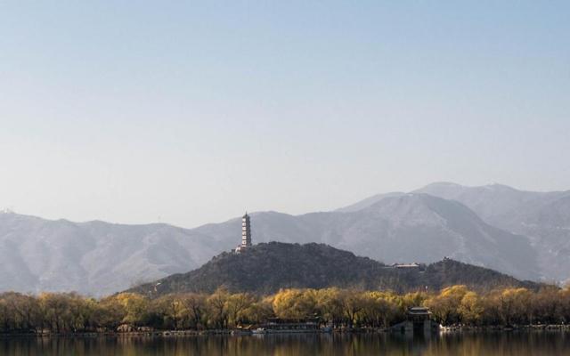 家里可以养竹子吗?风水吗