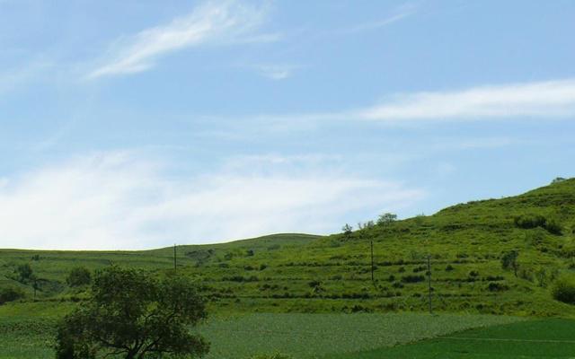 腌了的公鸡对风水有影响吗