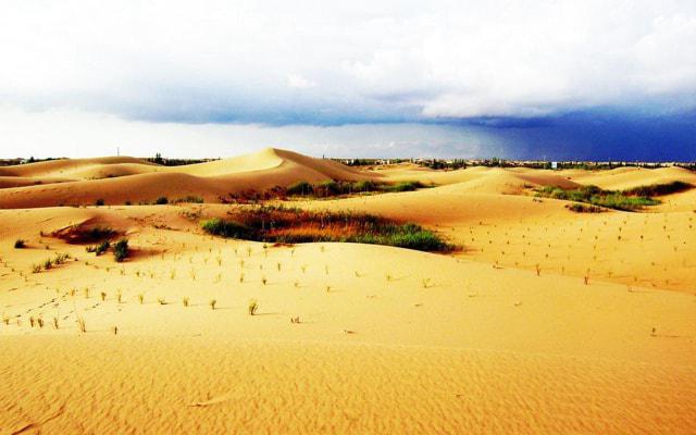 老子如何看八字命理