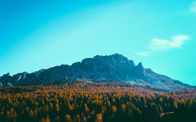 根据房型看风水可以吗