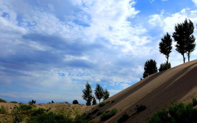 女命八字合夫星是什么命