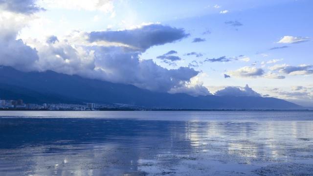 风水学屋旁边可以种柏树吗