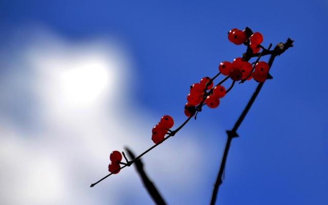 风水方位可以改变吗