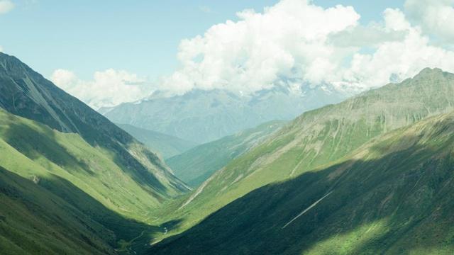 家中能养青苔吗?风水吗