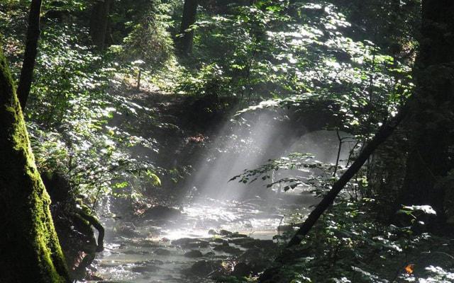 阴宅阳宅风水原则一样吗