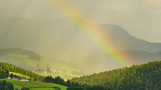 八字里面桃花是啥命
