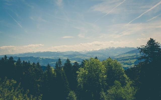 山头火命八字逢金